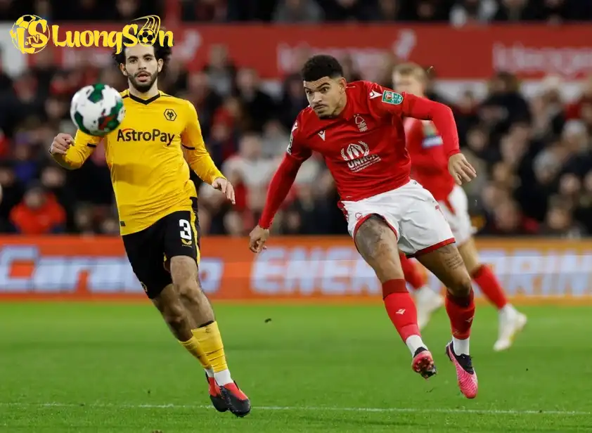 Nottingham Forest đang có phong độ tốt hơn Wolves. Nottingham Forest đang có phong độ tốt hơn Wolves.
